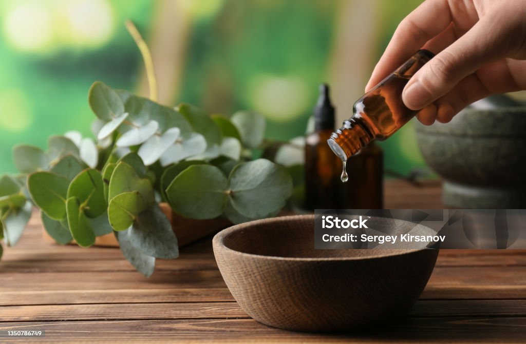 Les bienfaits de l’huile essentielle d’Eucalyptus