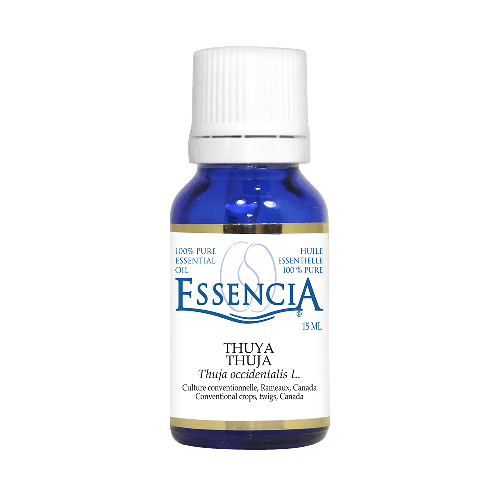 Pure Thuya Essential Oil | Essencia