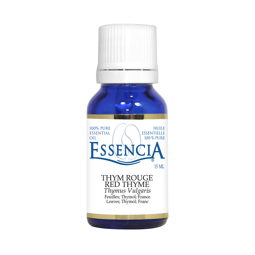 Pure Red Thyme Essential Oil – Essencia Canada
