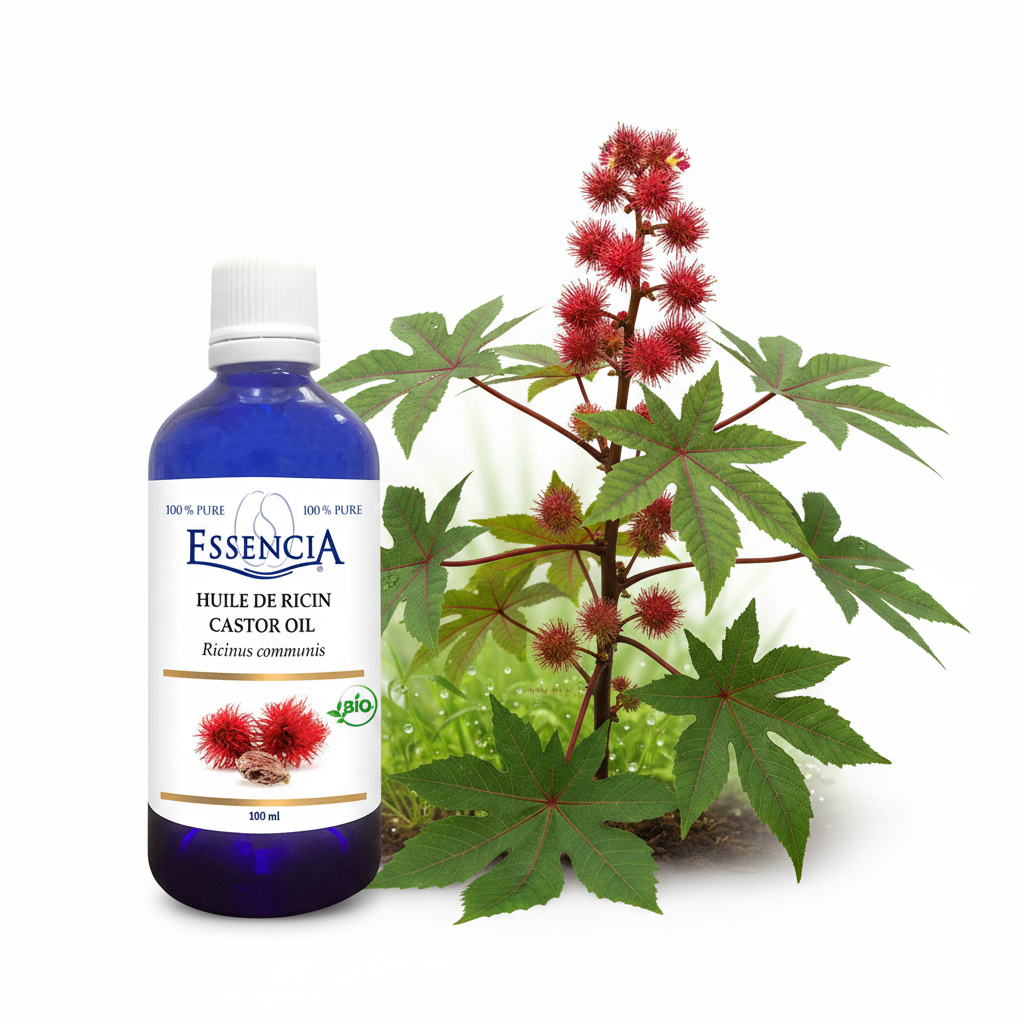 Organic Castor Oil