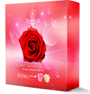 Precious Moment Gift Set – Essencia